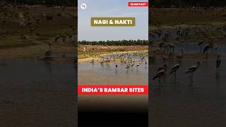 Ramsar Sites Update  Nagi and Nakti bird sanctuaries join Ramsar site list [upl. by Osbourn]