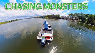 I couldnt stop this one  Live baiting for monster fish  Gold Coast [upl. by Ivens]