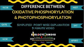 Difference between Oxidative phosphorylation and Photophosphorylation [upl. by Archambault]