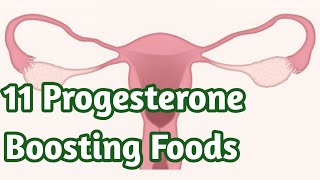 11 Progesterone Boosting Foods that can increase the Hormone Naturally  Sky world  Health Tips [upl. by Karine]