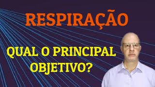 Respiração Qual o principal objetivo [upl. by Lucho890]