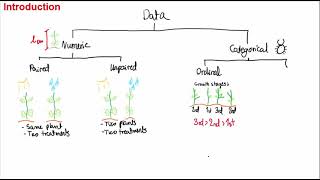 IB Biology 22 Statistical Tests for the Extended Essay and Internal Assessment [upl. by Cresa]