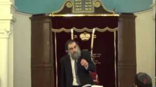 Cours du Rav Elie Lemmel quotPessah 5773 En relisant la haggadaquot [upl. by Keefer]