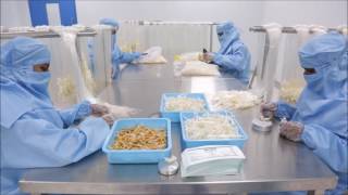 Assembly Process Overview  Medical Device Manufacturing [upl. by Sadiras]