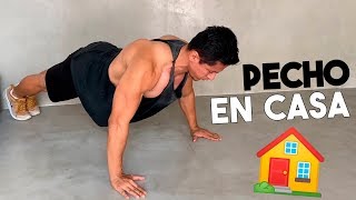 4 Pasos para Sacar Pecho con Lagartijas Push ups [upl. by Atsuj359]