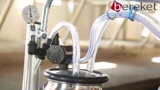 BS Mini X portable milking machine [upl. by Malim]