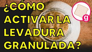 Cómo Activar Levadura Seca Activa ó Instantánea  Galería de Recetas [upl. by Leone]