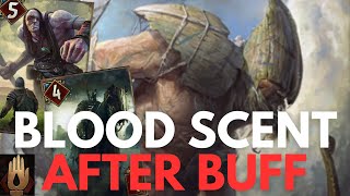 GWENT  202402  Monsters  Blood Scent  Nothing can compete with this deck in R1 [upl. by Enajaras648]