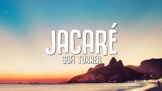 SOFI TUKKER  Jacaré Lyrics [upl. by Yrrap]