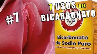 7 Usos del bicarbonato de Sodio que cada mujer tiene que conocer El7 te enloquecerá [upl. by Pilif]