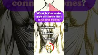 Anatomy healthquiz quiz generalknowledge drtquiz biology healthsciencequiz [upl. by Stauffer602]