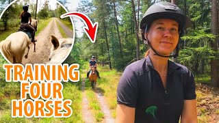 Training four horses in the forest  Horse Vlog [upl. by Yentihw]