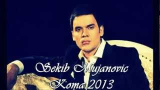 SEKIB MUJANOVIC  KOMA 2013 NOVO [upl. by Trevor]