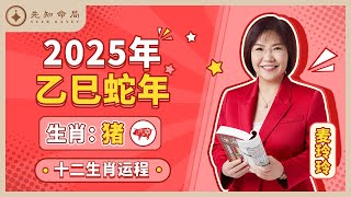 麦玲玲师傅详解2025蛇年运程：生肖猪！事业运、财运、人际关系、爱情、婚姻、健康全解析！ [upl. by Kramnhoj]