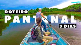 O QUE FAZER NO PANTANAL Todas as dicas [upl. by Eetnod]