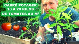 CARRÉ POTAGER ► RÉUSSIR SES TOMATES Planter nourrir sol paillage ombrage arrosage variétés [upl. by Blaire]