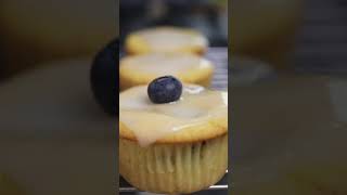 Lemon blueberry cupcakes topped with lemon icing shorts [upl. by Kcir]