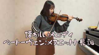 【スズキメソード2巻】【メヌエット ト長調ベートーヴェン】Menuett G dur Beethoven [upl. by Sarat433]