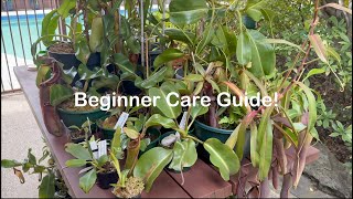 The Ultimate Nepenthes Care Guide for Beginners [upl. by Nibaj]