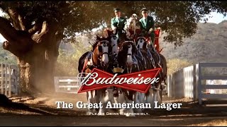 10 Famous Budweiser Super Bowl Commercials [upl. by Bastien]