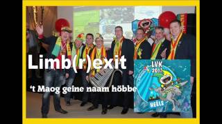 Limbexit  t maog geine naam hobbe  LVK2017 LVK 2017 [upl. by Jo Ann818]