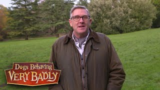 Dogs Behaving Very Badly  Series 4 Preview  Channel 5 [upl. by Neenaj]