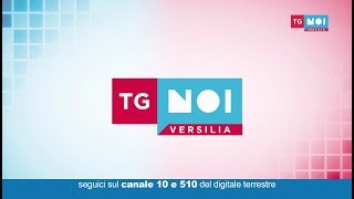 Tg Noi Versilia 28122018 [upl. by Anitsugua]