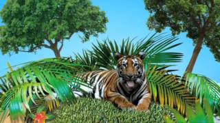 Paignton Zoo TV advert [upl. by Selrahc411]