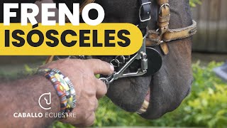 Frenos y embocaduras para caballos  FRENO ISÓSCELES articulado [upl. by Enirbas]