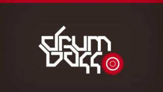 Drum n bass mix 2010  Camo amp Krooked Sub Focus Netsky and Nero [upl. by Eglantine]