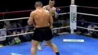 Mirko Cro Cop Filipovic vs Jerome LeBanner [upl. by Ahsinak]