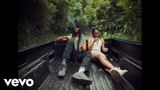 Protoje Zion I Kings  Weed amp Tings Visualizer [upl. by Shien897]