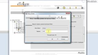 Разблокировка eToken [upl. by Yeslehc443]