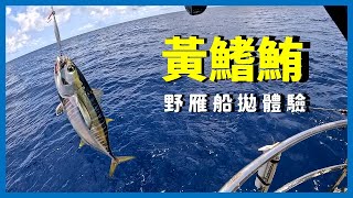 Offshore Fishing 人生第一次體驗船拋 黃鰭鮪不停地拉爽爽 I 가오슝 선상 플러깅 및 지깅 낚시투어 [upl. by Nyvar]