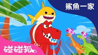 恐龍和鯊魚一家親  鯊魚寶寶  鯊魚一家  碰碰狐！兒童兒歌 [upl. by Ahtnicaj]