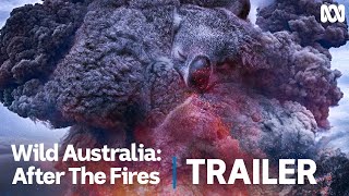 Wild Australia After the Fires  Official Trailer [upl. by Inaj]