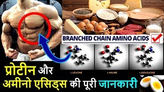 Protein Amino Acids Details in Hindi  Works Benefits Intake and Food Sources  HEALTH JAGRAN [upl. by Eelyahs]