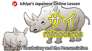 サイ sai  rhinoceros  Japanese Vocabulary and the Pronunciation [upl. by Kimber]