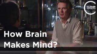 Galen Strawson  How Brain Makes Mind [upl. by Igor]