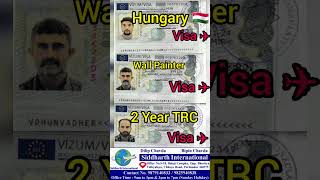 🇭🇺 Hungary europe schengen visa [upl. by Jeggar450]