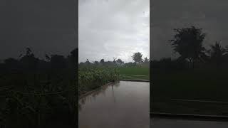 silu silu vendru poongatru vanavil  enjoy song with rain [upl. by Belcher]