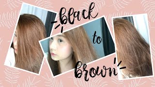 DIY Hair Dye  No Bleach  Philippines  PixiePeach ♥ [upl. by Novahc]