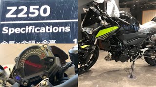 Kawasaki Z250 ABS Specs 2022 [upl. by Rim]