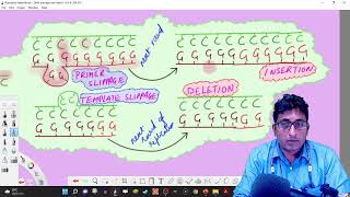 043 Mutations and Repair Replication errors Base analog Intercalating agents Tautomers Slippage [upl. by Goto]