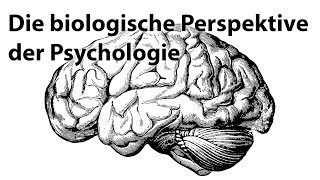 Die biologische Perspektive der Psychologie [upl. by Everick]