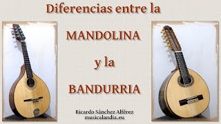 quotDiferencias CLAVE entre la bandurria y la mandolinaquot [upl. by Stempien]