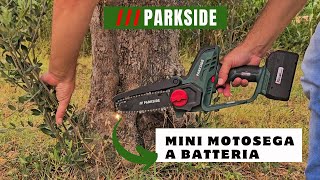 Mini MOTOSEGA PARKSIDE A BATTERIA 20 VOLT [upl. by Ased]