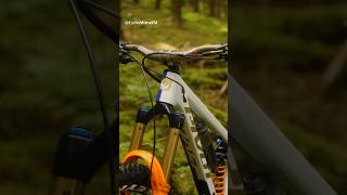 Pivot Factory Racing Limited Edition Firebird  Shimano XTR shorts mtb cycling [upl. by Losiram]