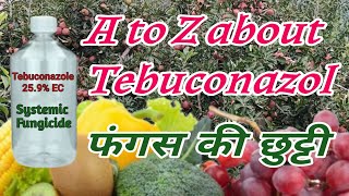 Tebuconazole 259 EC फंगस का सफाया  A to z about Tebuconazol Fungicide  bagwanikibaat [upl. by Leihcey]