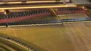 Broadwood Barless Grand Piano Playing Beethoven 5th Symphony [upl. by Ahsiekim]